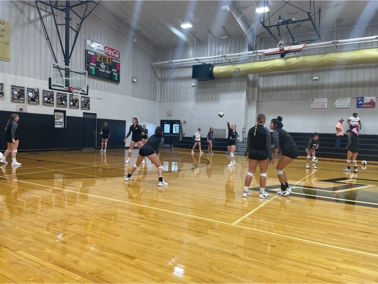 Volleyball